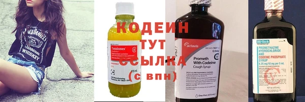 spice Дмитриев
