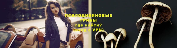 mix Дмитровск