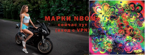 spice Дмитриев