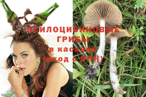 spice Дмитриев