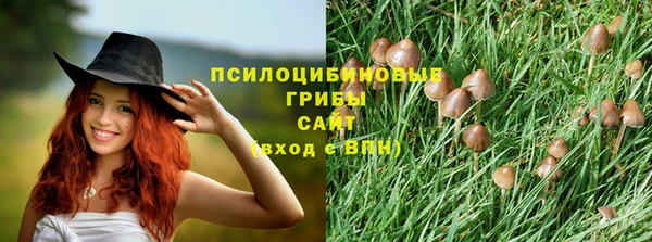 spice Дмитриев