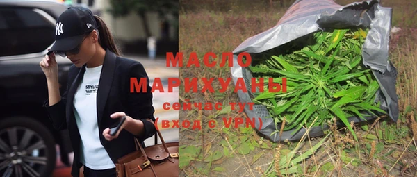 spice Дмитриев