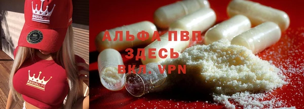 spice Дмитриев